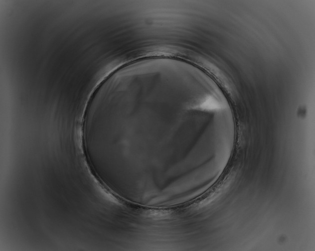 X0000102830802200809081154