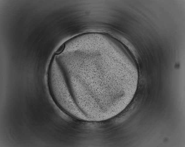 X0000102830803200809081154