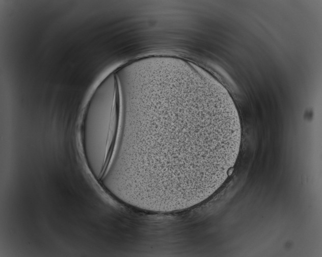 X0000102830804200809081154