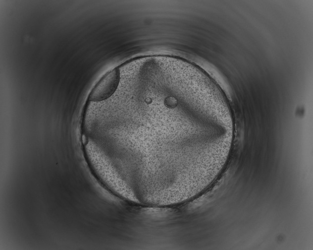 X0000102830805200809081154