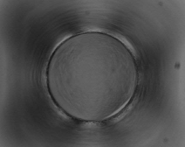 X0000102830806200809081154