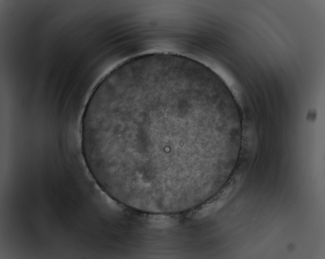 X0000102830807200809081154