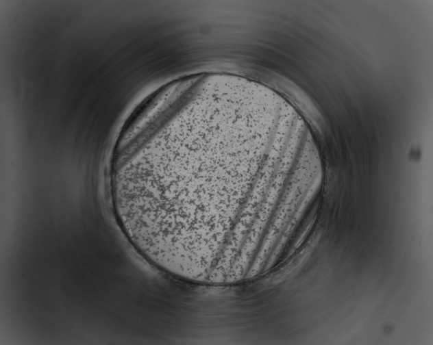 X0000102830808200809081154