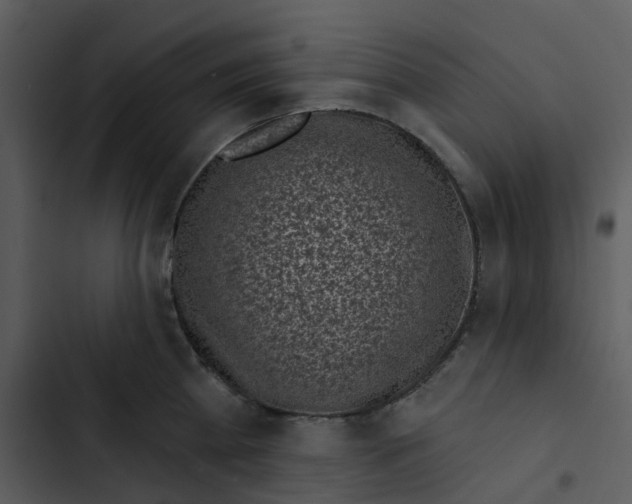 X0000102830809200809081154