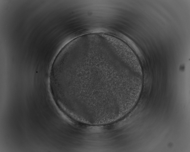 X0000102830810200809081154