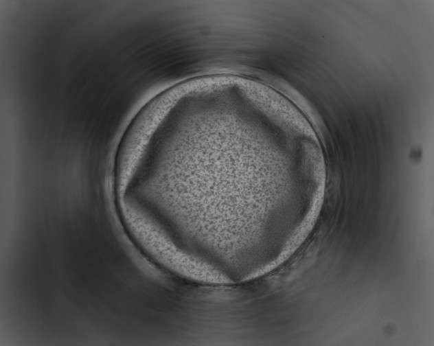 X0000102830811200809081154