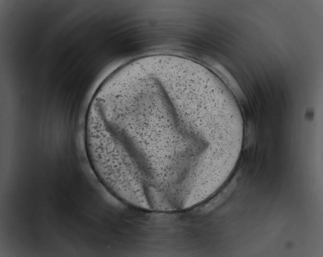 X0000102830812200809081154