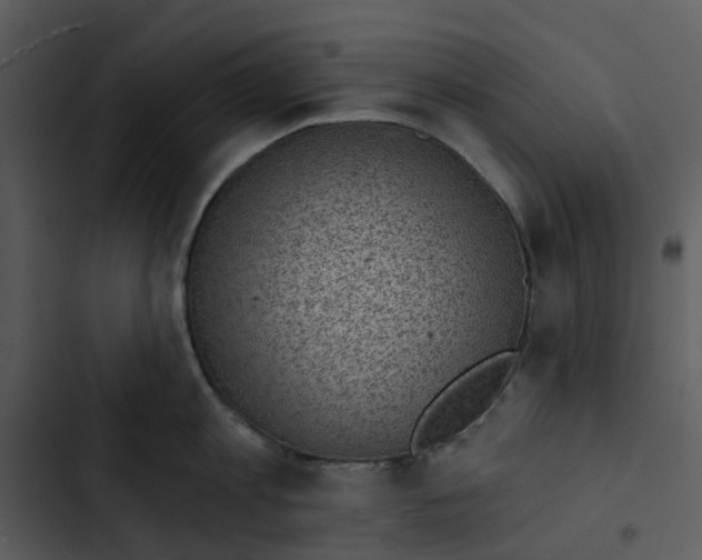 X0000102830813200809081154