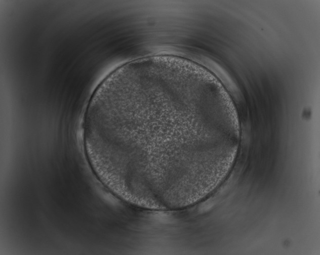 X0000102830814200809081154