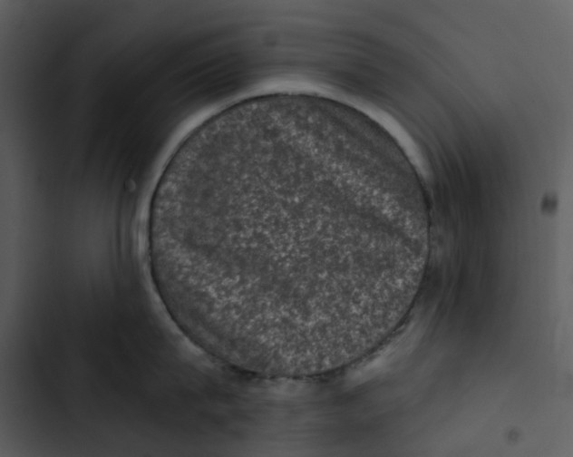 X0000102830815200809081154