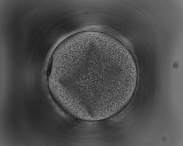 X0000102830816200809081154