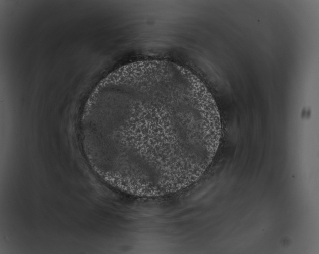 X0000102830817200809081153