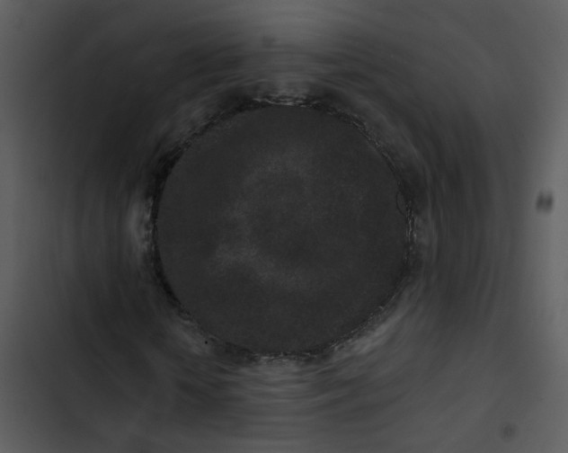 X0000102830818200809081153