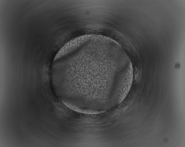 X0000102830819200809081153