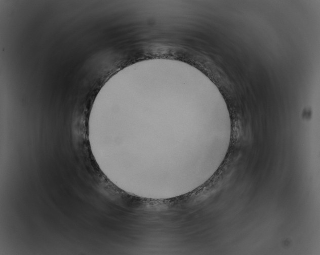 X0000102830820200809081153