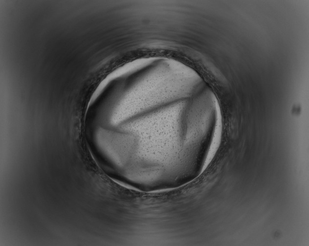 X0000102830821200809081153