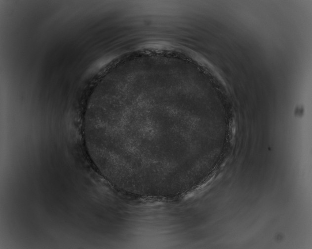 X0000102830822200809081153