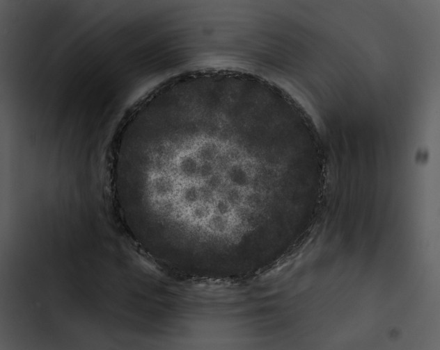 X0000102830823200809081153