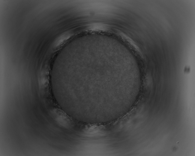 X0000102830824200809081153