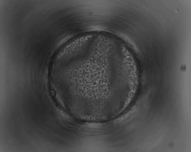 X0000102830825200809081153