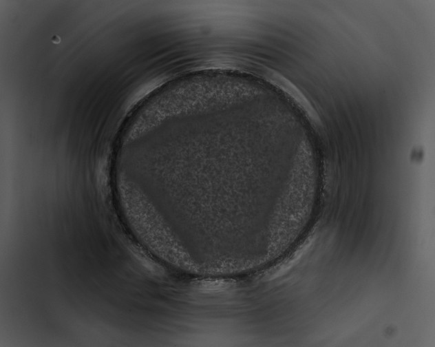 X0000102830826200809081153