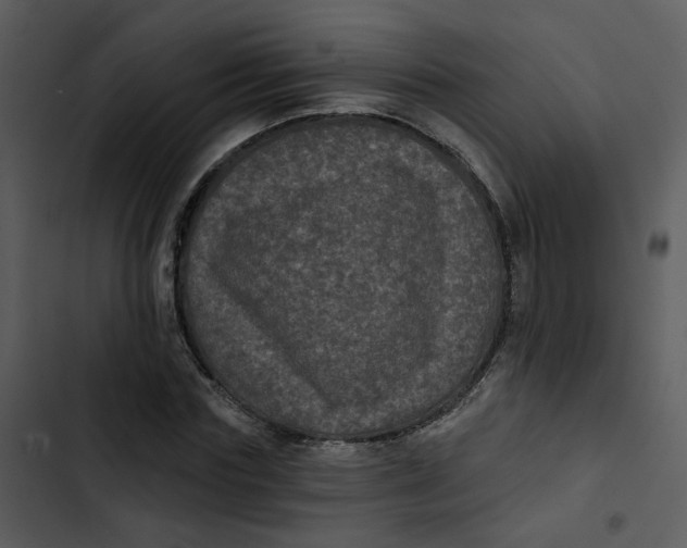 X0000102830827200809081153