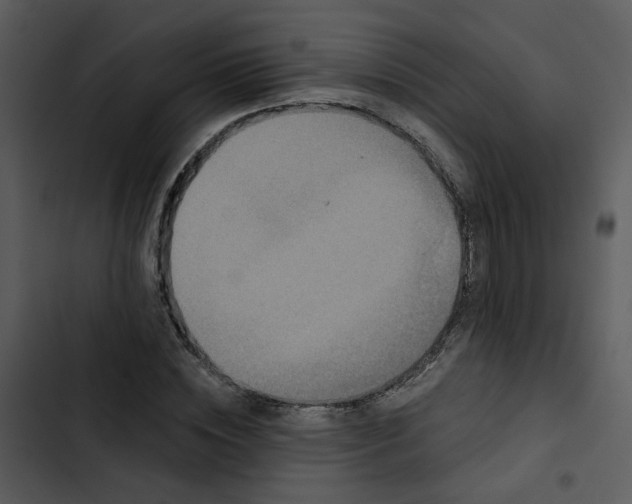 X0000102830828200809081153