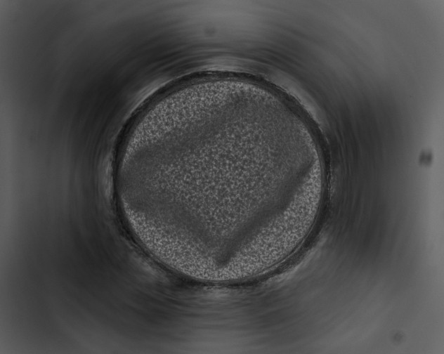 X0000102830829200809081153