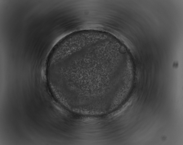 X0000102830830200809081153