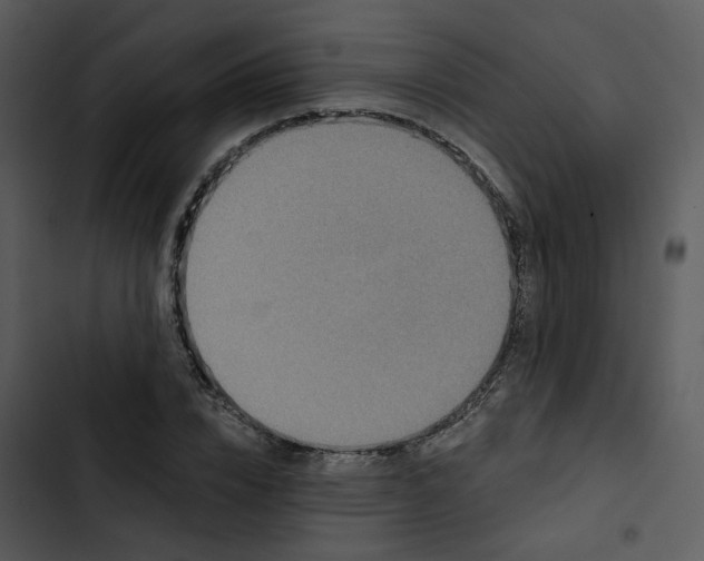 X0000102830832200809081153