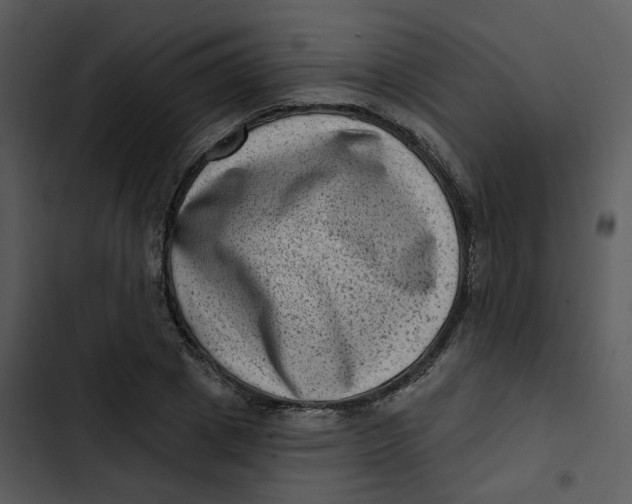 X0000102830833200809081153