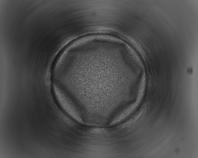 X0000102830835200809081153