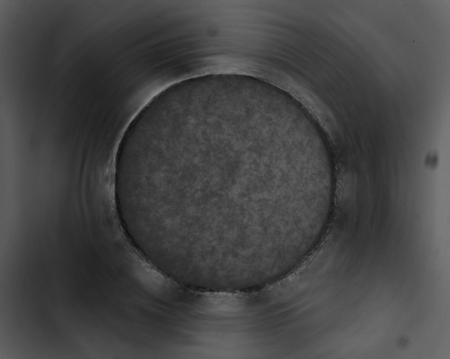 X0000102830836200809081153