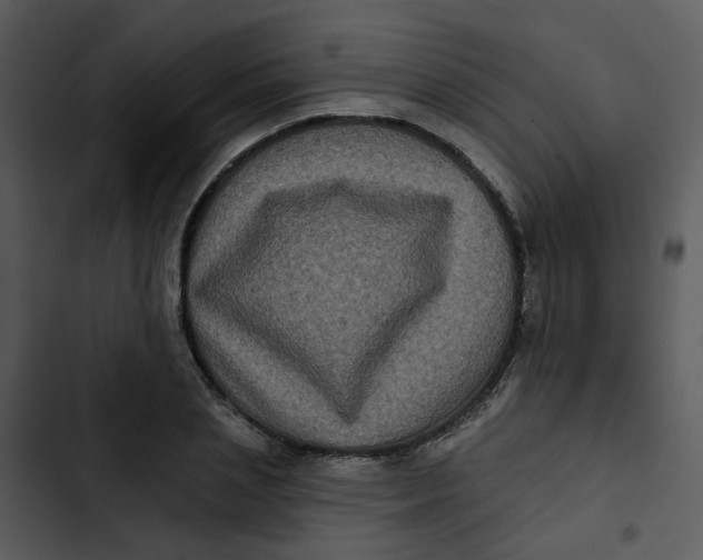 X0000102830837200809081153