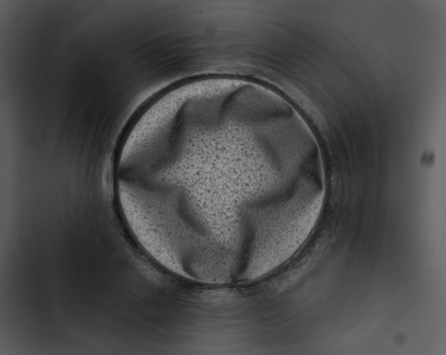 X0000102830838200809081153