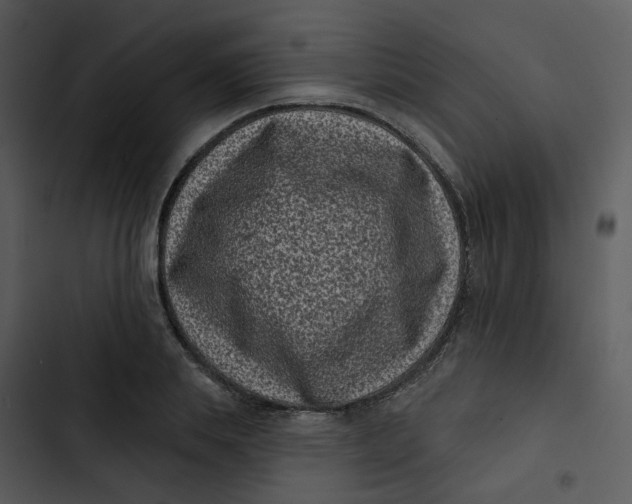 X0000102830839200809081153