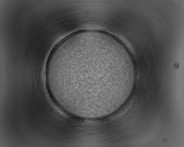 X0000102830840200809081153