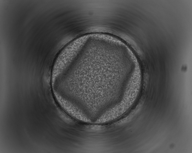 X0000102830841200809081153