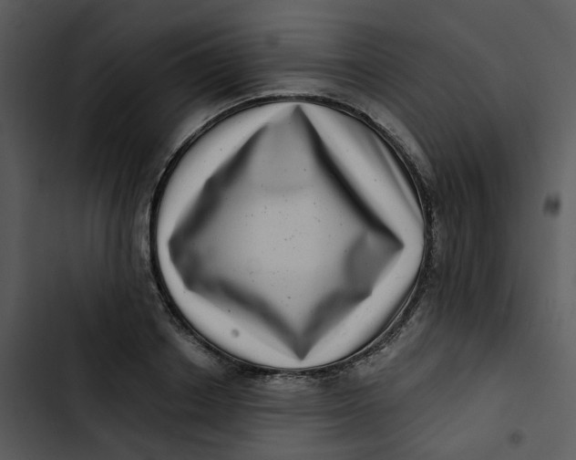 X0000102830842200809081153