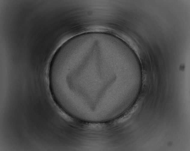 X0000102830843200809081153