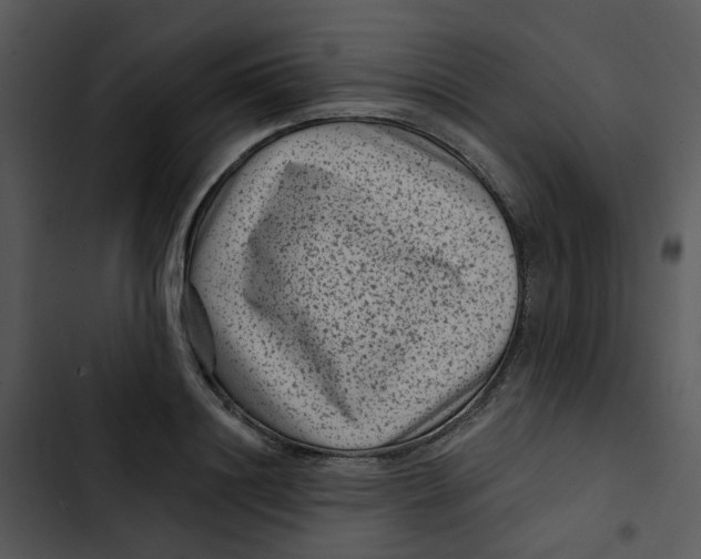 X0000102830844200809081153