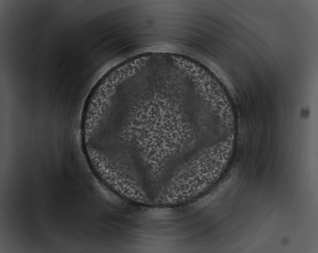 X0000102830845200809081153