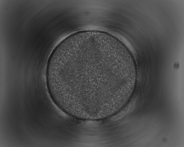 X0000102830847200809081153