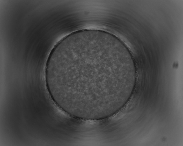 X0000102830848200809081153