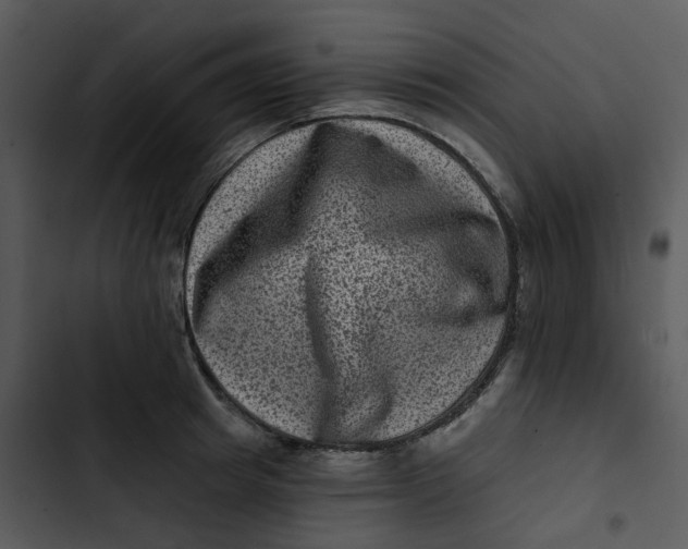 X0000102830849200809081153