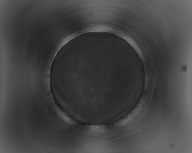 X0000102830850200809081153