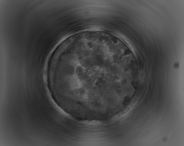 X0000102830851200809081153