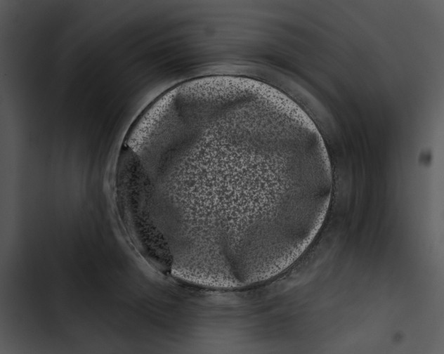 X0000102830852200809081153