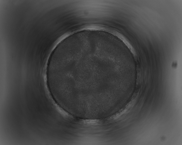 X0000102830853200809081153