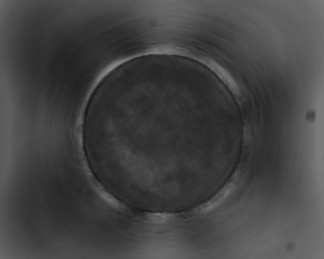 X0000102830854200809081153